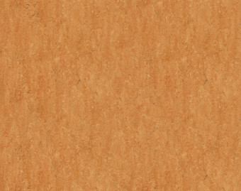 [100111111_17] Marmoleum Real - 3174 Sahara